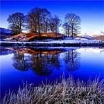 Avatar Esteban Cornejo