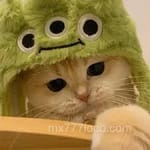 Avatar Julieta Rivera